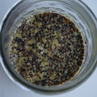 Making Mustard From Wild Seed